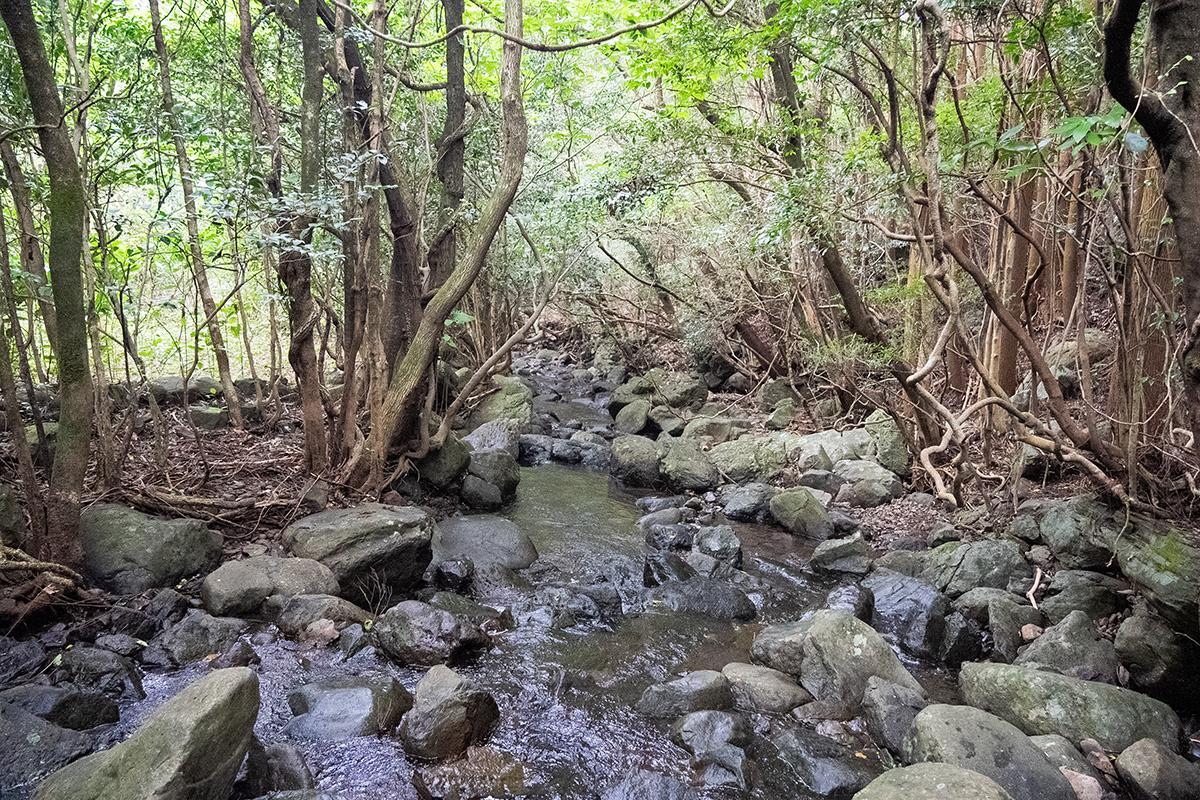 穏やかな佐々川の源流で沢歩き-1