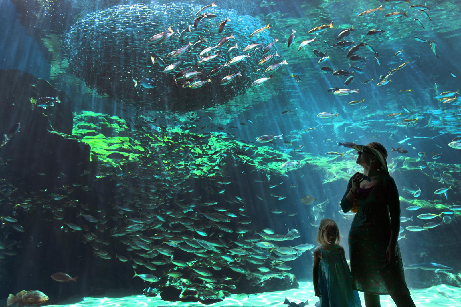 1．九十九島水族館海きららで海の世界を冒険！-2