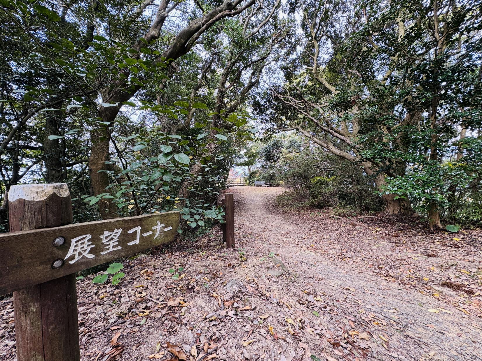 鵜戸越展望台（うどごえてんぼうだい）-1