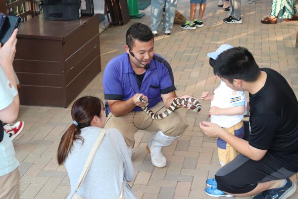 【九十九島動植物園森きらら】森きららのお正月-0