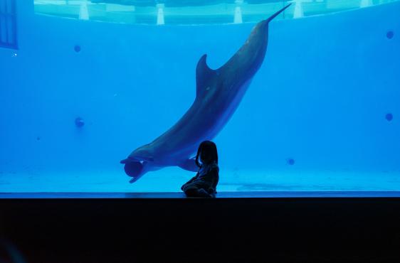 【九十九島水族館海きらら】海きららのお正月-7